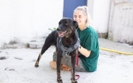 Der schöne Avio sucht seinen besten Freund