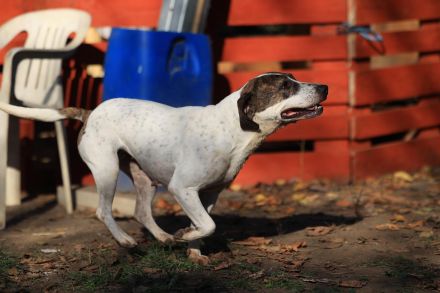 Lucy - möchte Einzelprinzessin werden