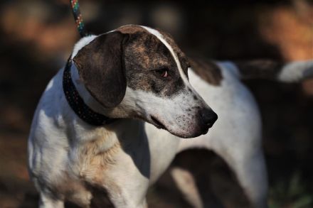 Lucy - möchte Einzelprinzessin werden