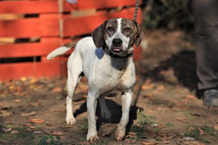 Lucy - möchte Einzelprinzessin werden