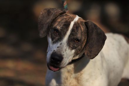 Lucy - möchte Einzelprinzessin werden