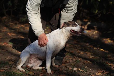 Lucy - möchte Einzelprinzessin werden