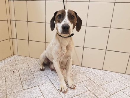 Lucy - möchte Einzelprinzessin werden