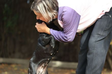 Kristina - sucht ein aktives Zuhause mit vielen Kuscheleinheiten