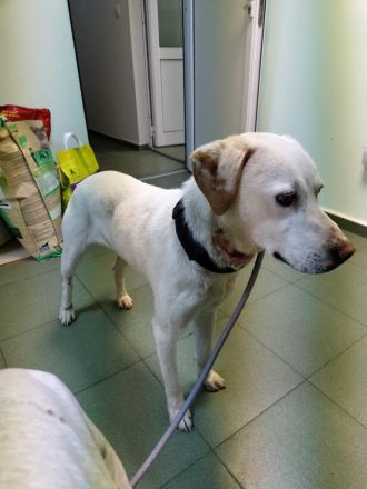 Patrick sucht seine Herzensmenschen❤️