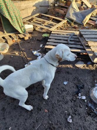 Patrick sucht seine Herzensmenschen❤️