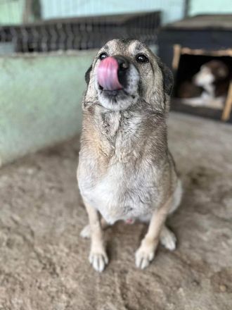 Pauli, freundlich und lieb