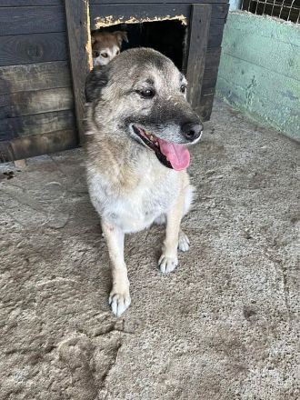 Pauli, freundlich und lieb