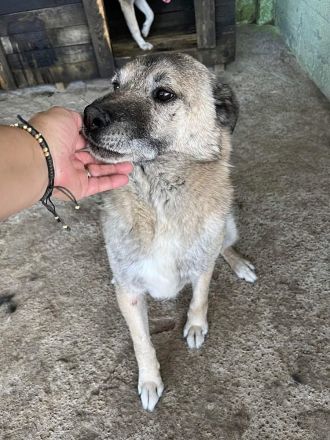 Pauli, freundlich und lieb