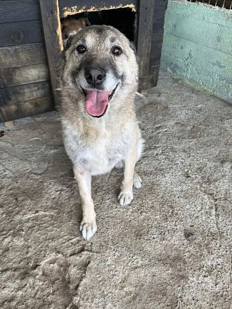 Pauli, freundlich und lieb