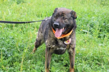 Flauschbär Pablo wünscht sich ein Zuhause