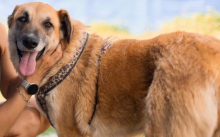 verkuschelte Marysia sucht ihren Heimathafen