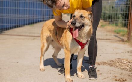 verkuschelte Marysia sucht ihren Heimathafen