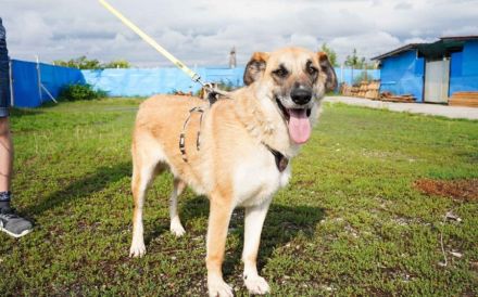 verkuschelte Marysia sucht ihren Heimathafen