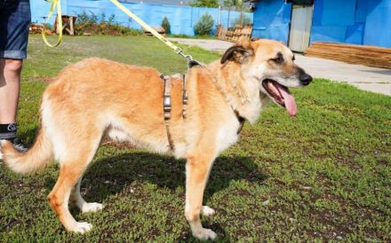 verkuschelte Marysia sucht ihren Heimathafen