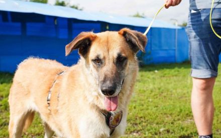 verkuschelte Marysia sucht ihren Heimathafen