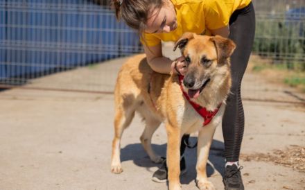 verkuschelte Marysia sucht ihren Heimathafen