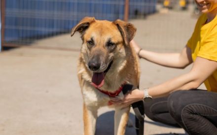 verkuschelte Marysia sucht ihren Heimathafen