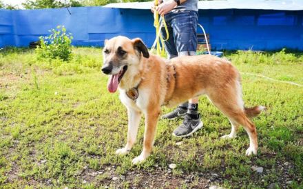 verkuschelte Marysia sucht ihren Heimathafen
