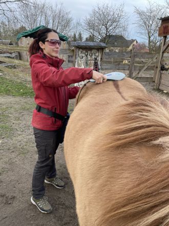 Naturheilkunst Yin & Yang - Tierheilpraktikerin Denise Orlandea