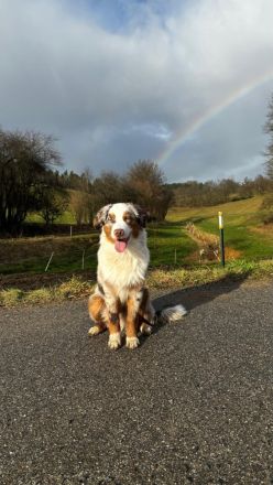 Blue Eye Shining Charlie