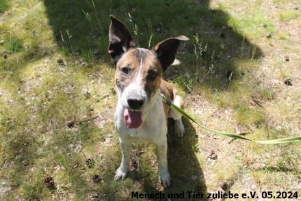 Jaro 50cm 2016 geboren