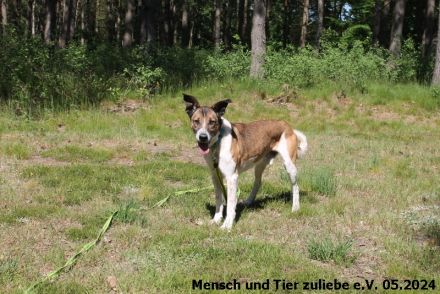 Jaro 50cm 2016 geboren