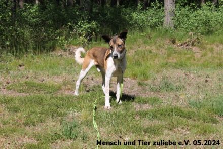 Jaro 50cm 2016 geboren