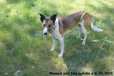 Jaro 50cm 2016 geboren