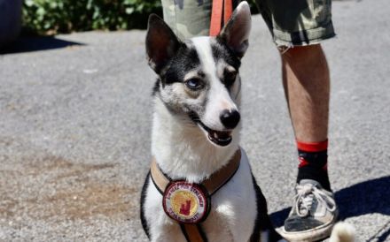 Unsere starke Kämpferin Salali