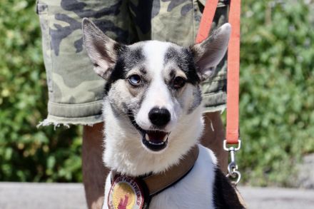 Unsere starke Kämpferin Salali