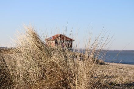HAUS JONATHAN in HOOKSIEL