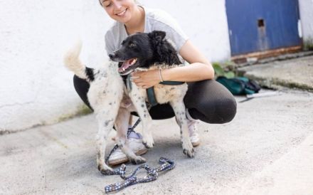 Chipo ist ein Geschenk auf 4 Pfoten