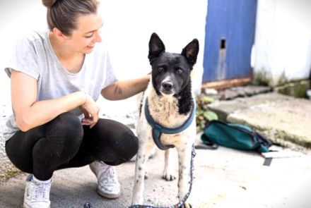 Chipo ist ein Geschenk auf 4 Pfoten