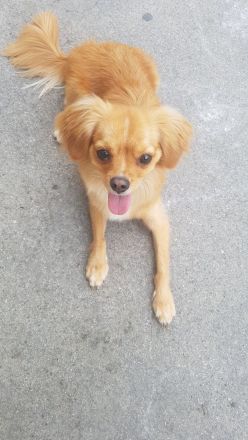 Dringend ein Platz für den Zucker süßen alf Gesicht