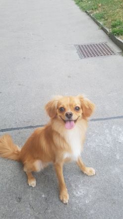 Dringend ein Platz für den Zucker süßen alf Gesicht