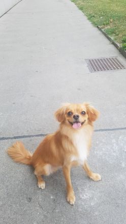 Dringend ein Platz für den Zucker süßen alf Gesicht