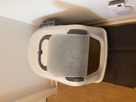 Zwei liebevolle Katzen suchen ein gemeinsames Zuhause