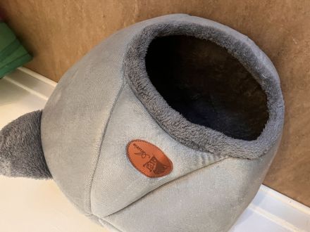 Zwei liebevolle Katzen suchen ein gemeinsames Zuhause