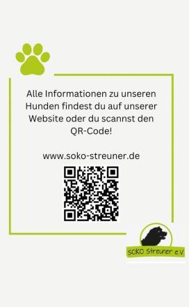 Patrocles, ein lieber, freundlicher Kerl sucht seine Menschen