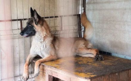 Nevada hat eine Chance verdient