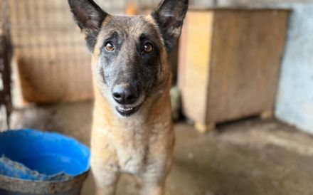 Nevada hat eine Chance verdient