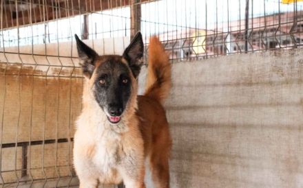 Nevada hat eine Chance verdient