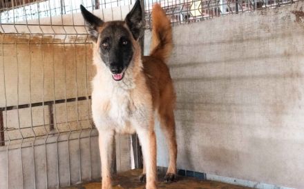 Nevada hat eine Chance verdient