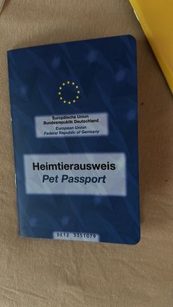 Nur Abholung möglich