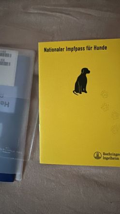 Nur Abholung möglich