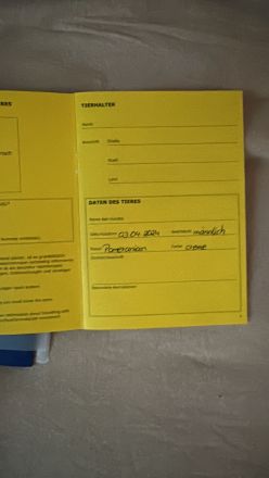 Nur Abholung möglich