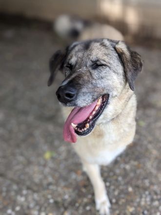 Dina – alte Dame sucht Herz zum Erobern