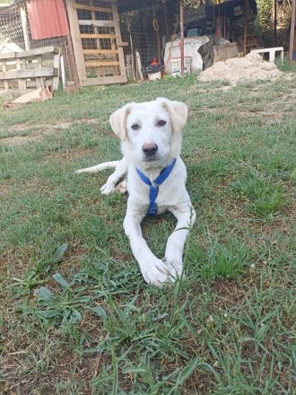 Snow - wartet darauf die Welt zu entdecken