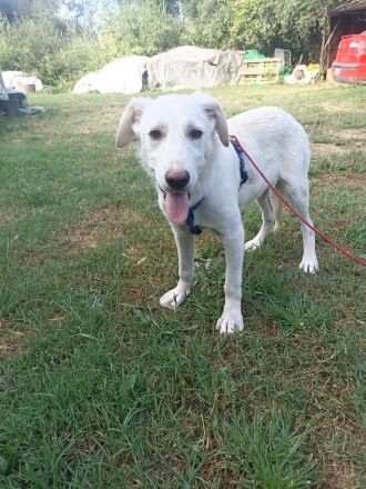 Snow - wartet darauf die Welt zu entdecken